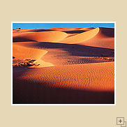 Navajo Dunes